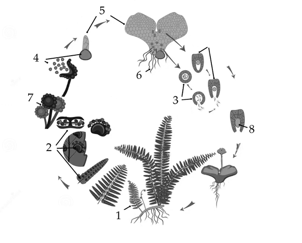 Untitled-5.png